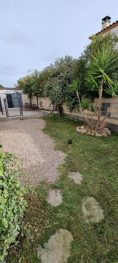 Le Cocon Apartment Balaruc-les-Bains Luaran gambar